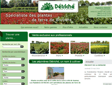 Tablet Screenshot of detriche.com